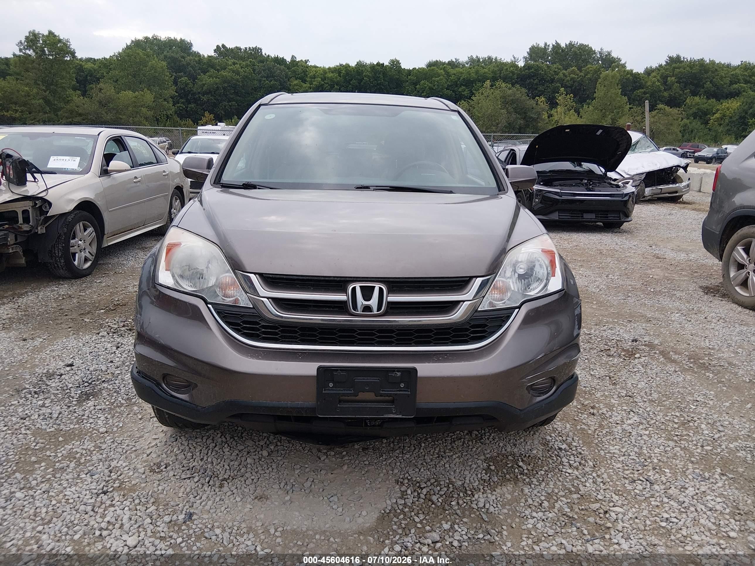 2011 Honda Cr-v Ex-l Brown vin: 5J6RE4H75BL093322