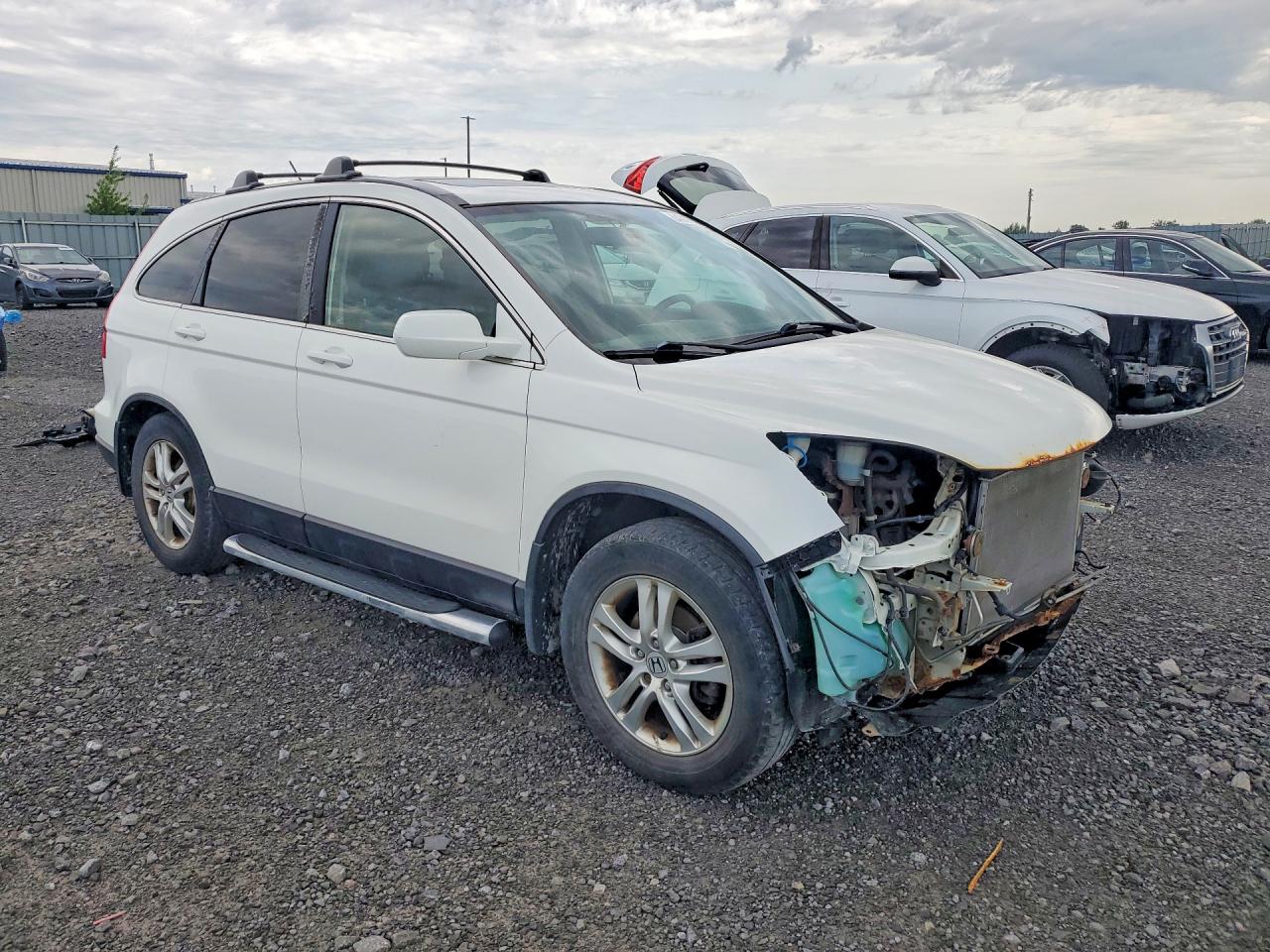 2011 Honda Cr-v Exl White vin: 5J6RE4H75BL820667