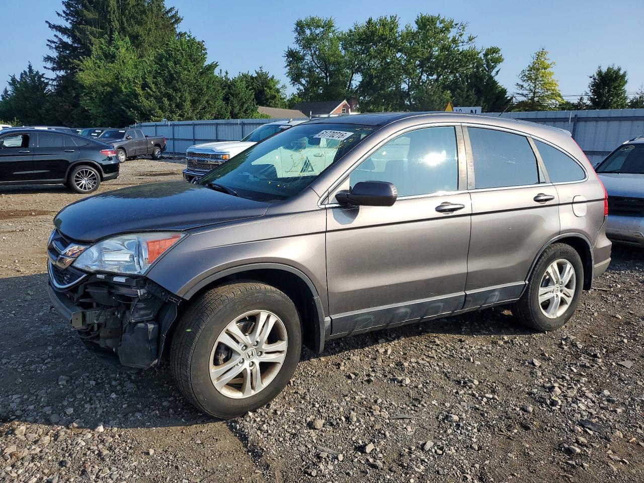 2011 Honda Cr-v Exl Gray vin: 5J6RE4H76BL075489