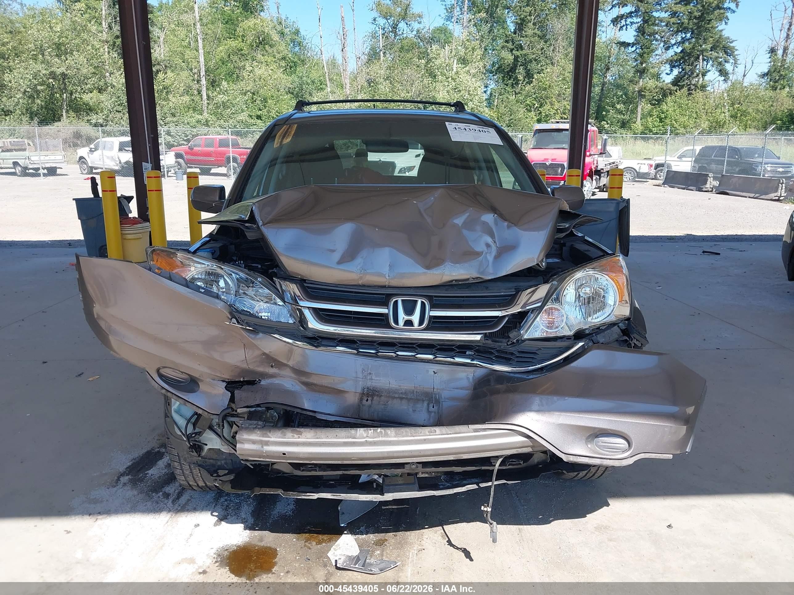 2010 Honda Cr-v Ex-l Gray vin: 5J6RE4H77AL000671