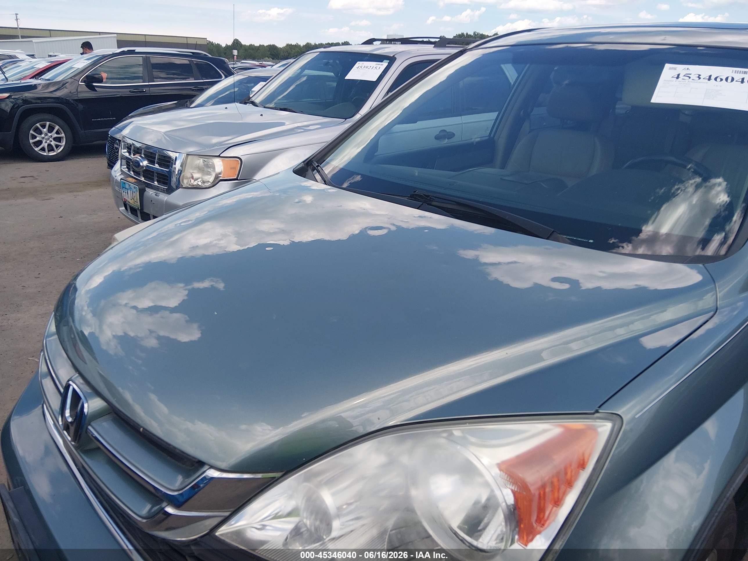 2010 Honda Cr-v Ex-l Green vin: 5J6RE4H77AL086547
