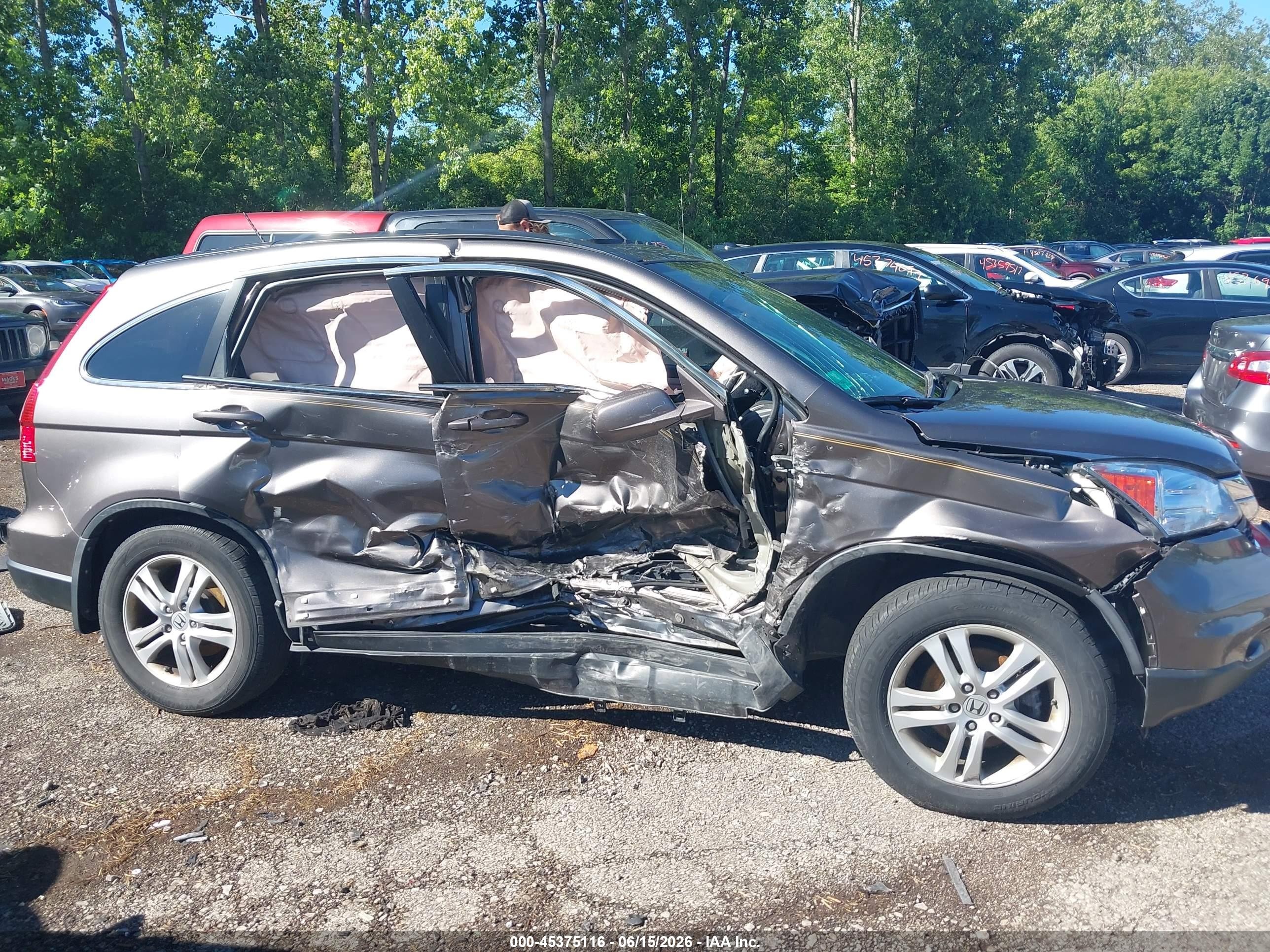 2010 Honda Cr-v Ex-l Gray vin: 5J6RE4H78AL001506