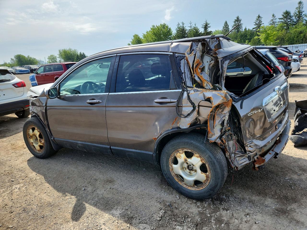 2010 Honda Cr-v Exl Tan vin: 5J6RE4H78AL806177