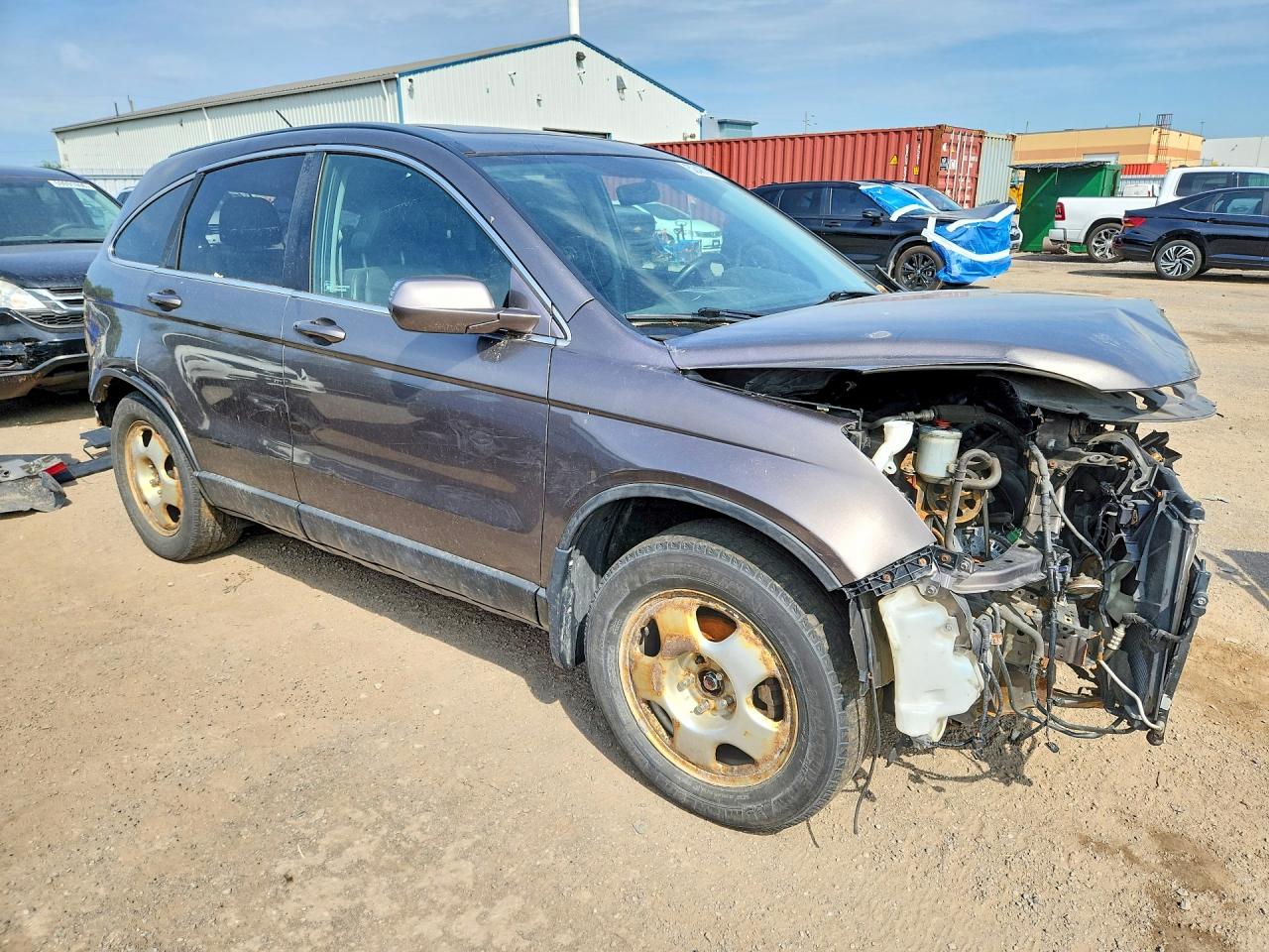 2010 Honda Cr-v Exl Tan vin: 5J6RE4H78AL806177