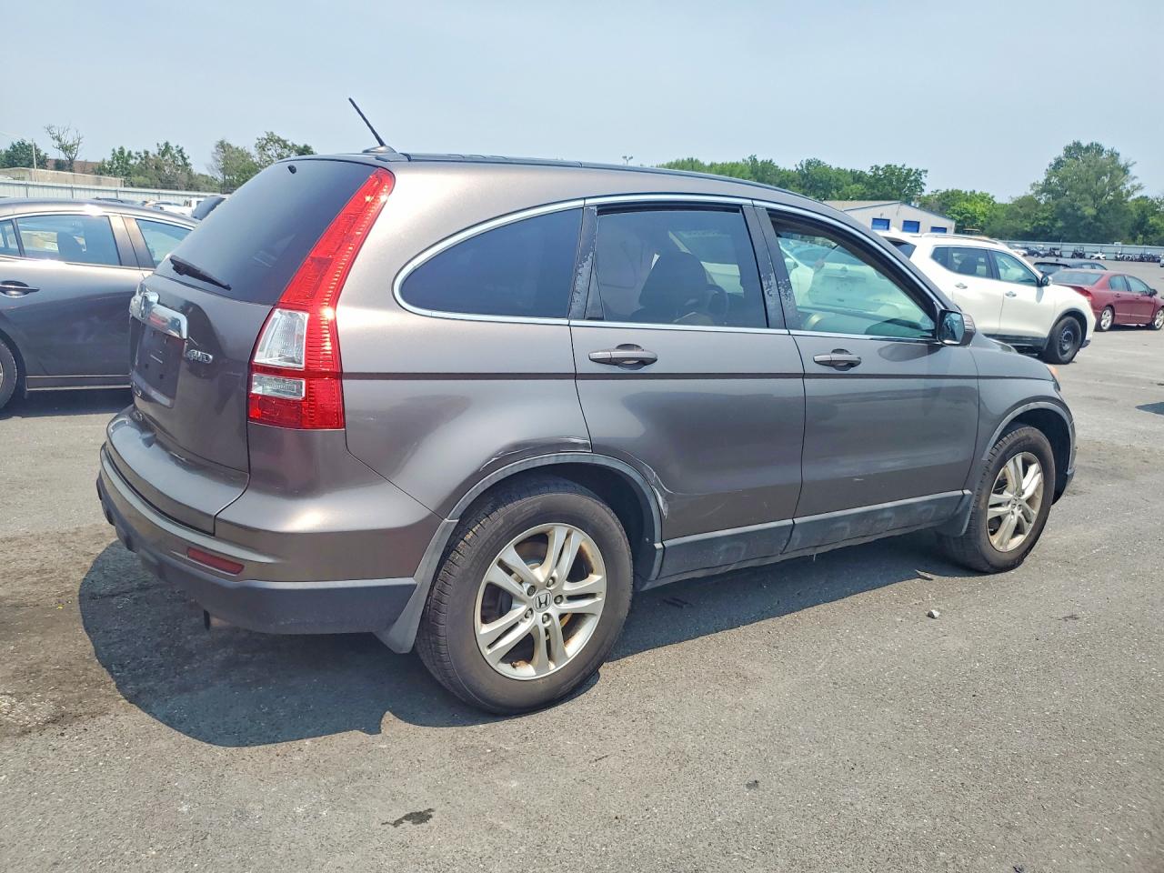 2010 Honda Cr-v Exl Gray vin: 5J6RE4H79AL048706