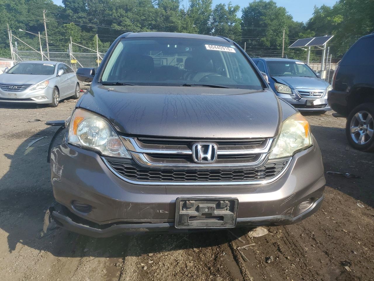 2010 Honda Cr-v Exl Brown vin: 5J6RE4H79AL060628