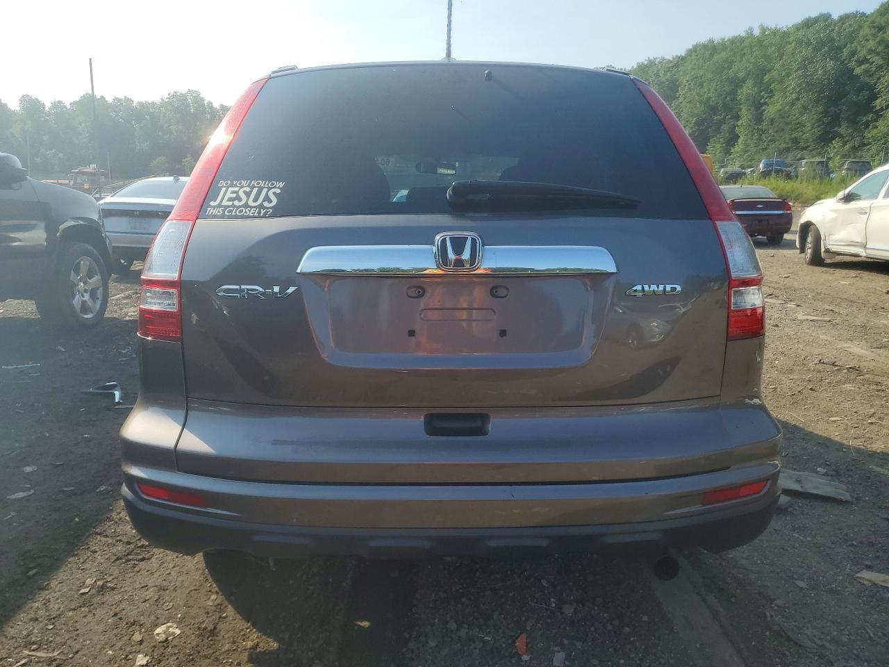 2010 Honda Cr-v Exl Brown vin: 5J6RE4H79AL060628