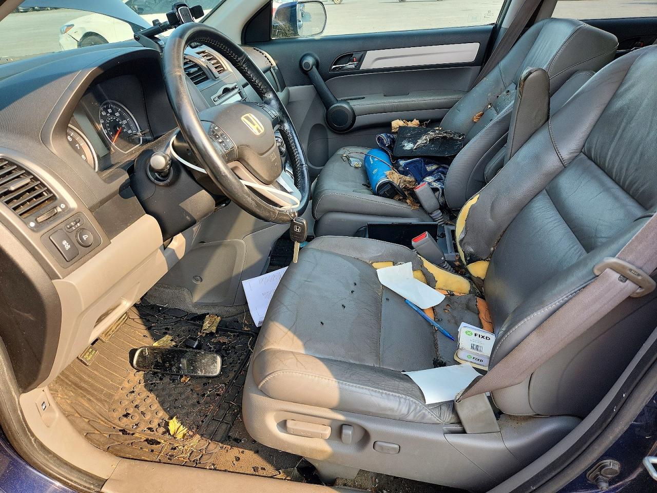 2010 Honda Cr-v Exl Blue vin: 5J6RE4H79AL062864