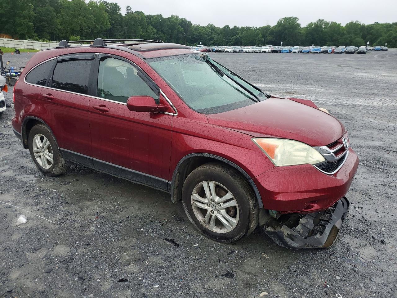 2010 Honda Cr-v Exl Burgundy vin: 5J6RE4H7XAL029145