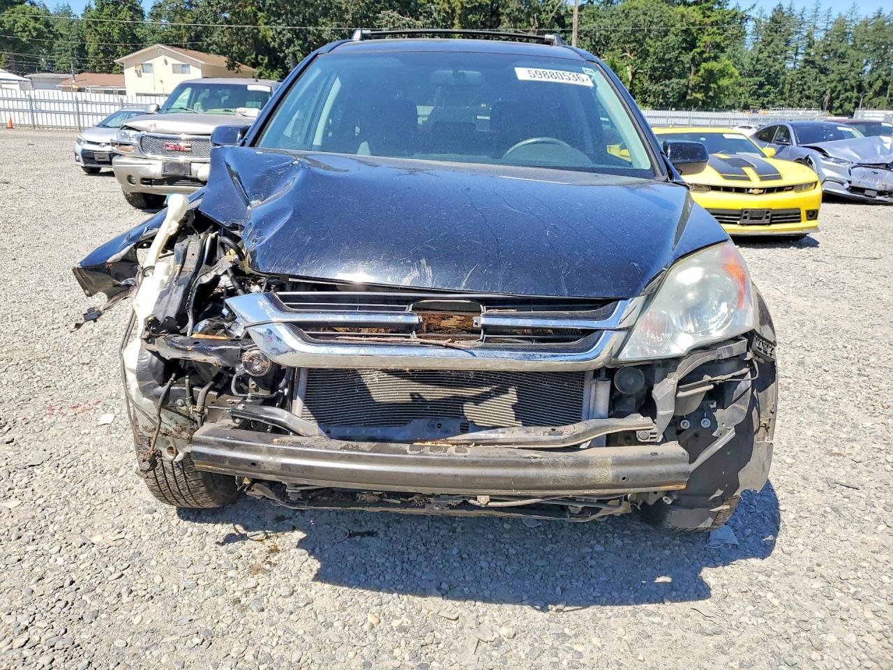 2010 Honda Cr-v Exl Black vin: 5J6RE4H7XAL044261