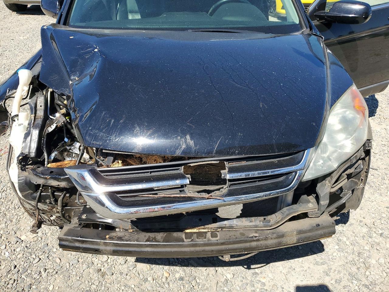 2010 Honda Cr-v Exl Black vin: 5J6RE4H7XAL044261