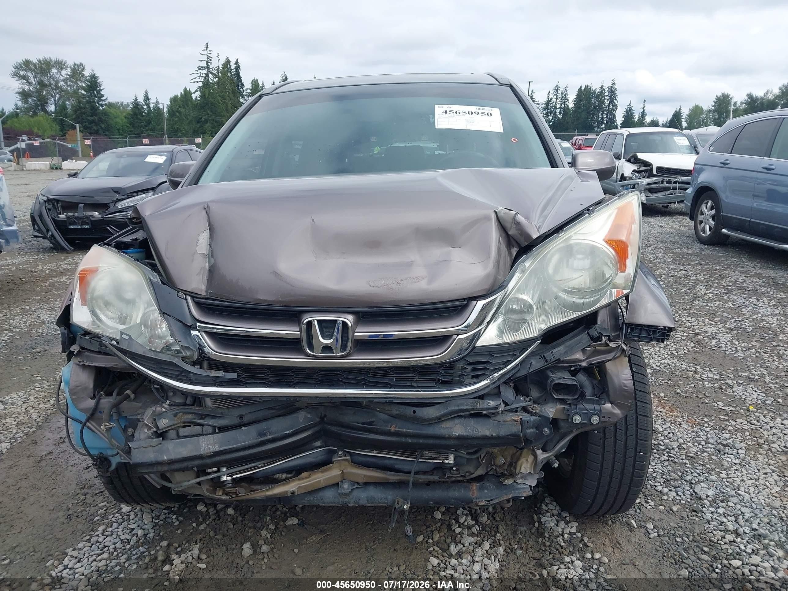 2010 Honda Cr-v Ex-l Pewter vin: 5J6RE4H7XAL086316