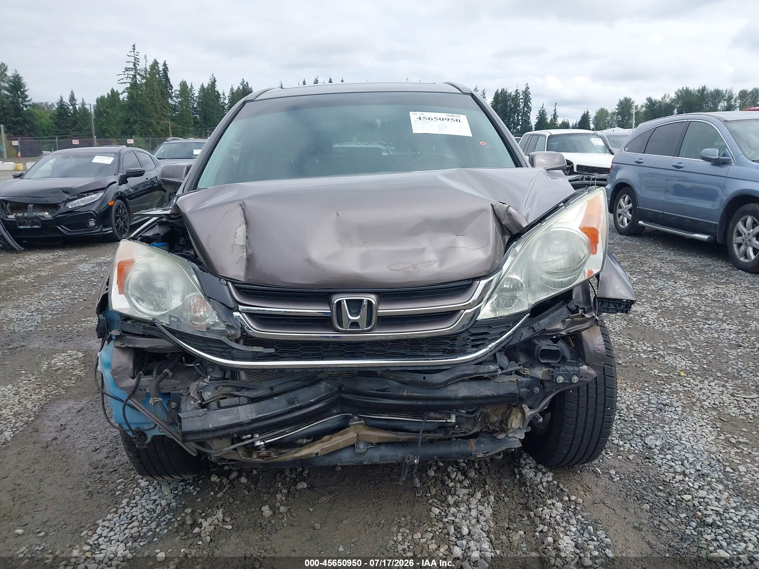 2010 Honda Cr-v Ex-l Pewter vin: 5J6RE4H7XAL086316