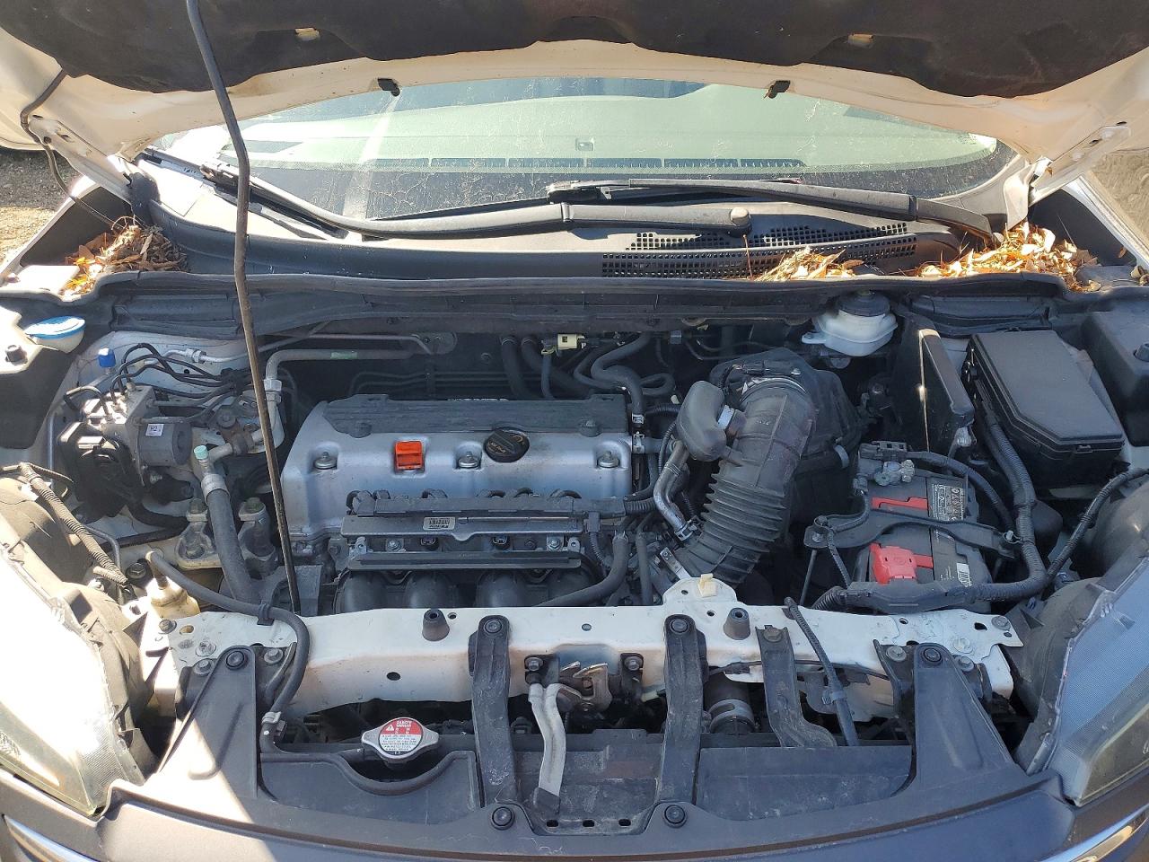 2014 Honda Cr-v Ex White vin: 5J6RM3H56EL002509