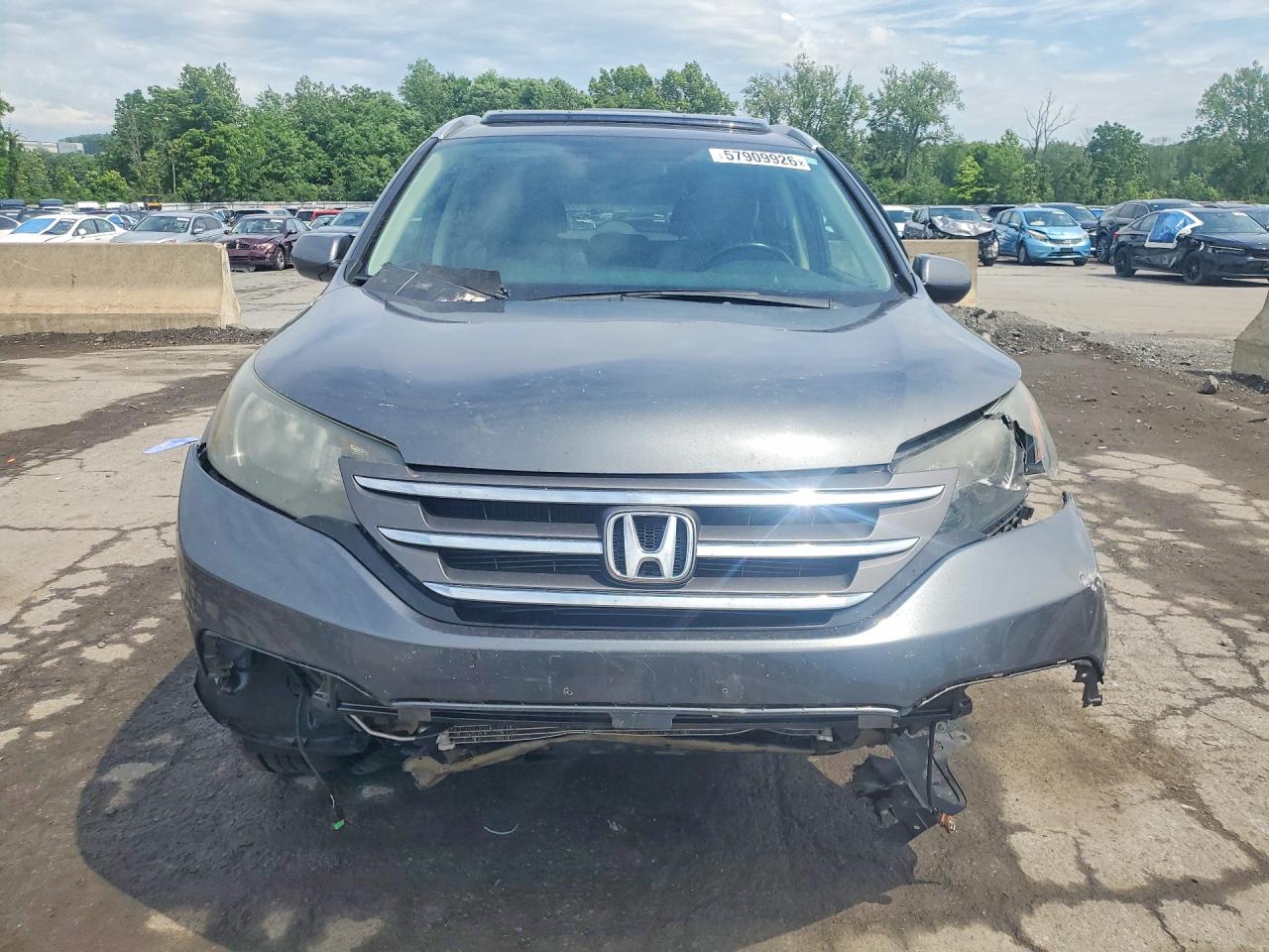2013 Honda Cr-v Exl Gray vin: 5J6RM3H74DL011189