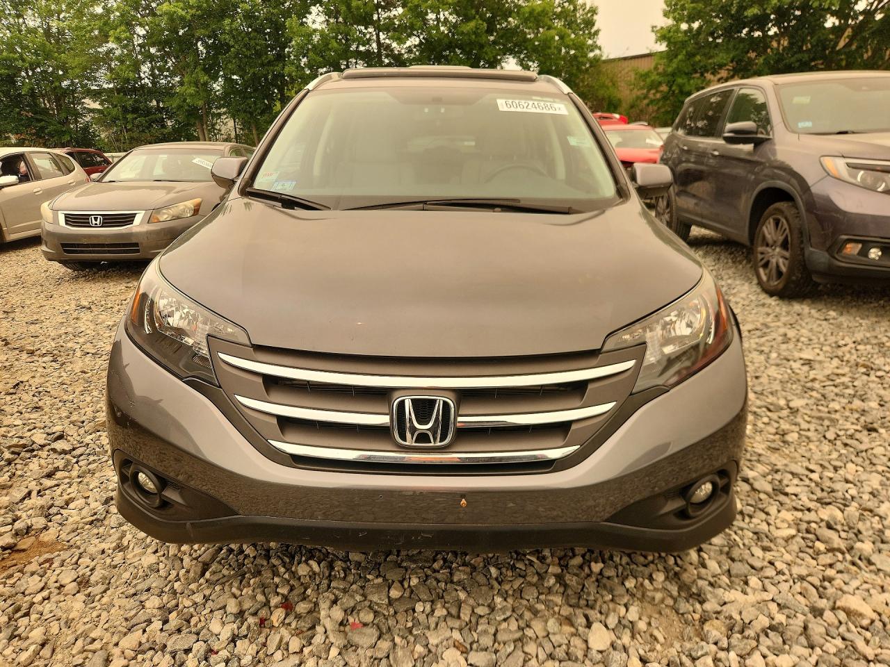 2013 Honda Cr-v Exl Gray vin: 5J6RM3H79DL007543
