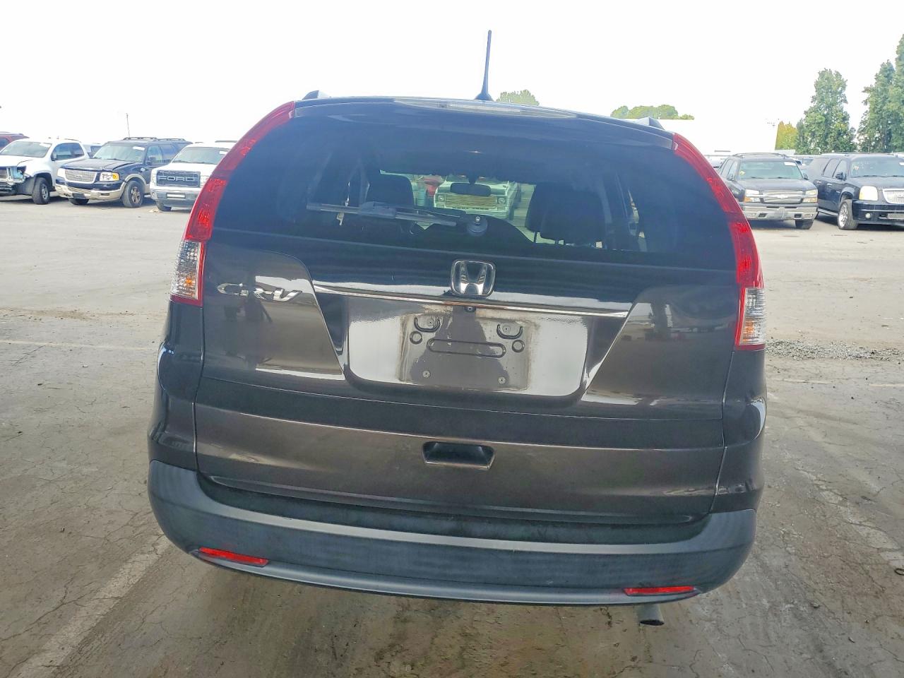 2013 Honda Cr-v Exl Brown vin: 5J6RM3H79DL033558