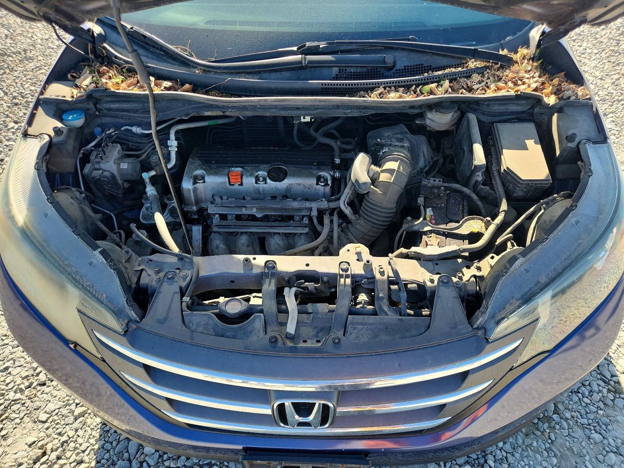 2013 Honda Cr-v Lx Blue vin: 5J6RM4H34DL015584