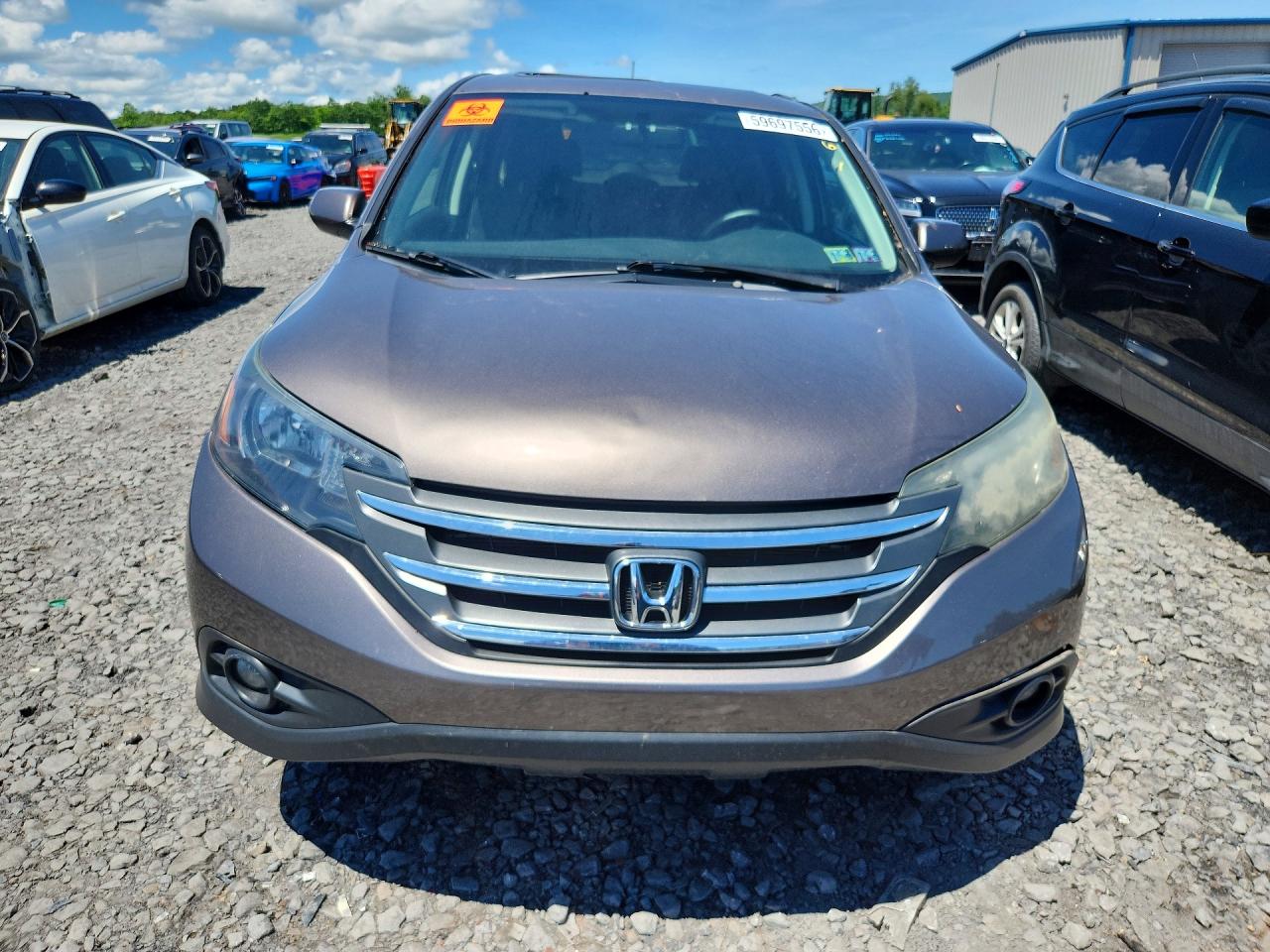 2013 Honda Cr-v Ex Beige vin: 5J6RM4H50DL042072