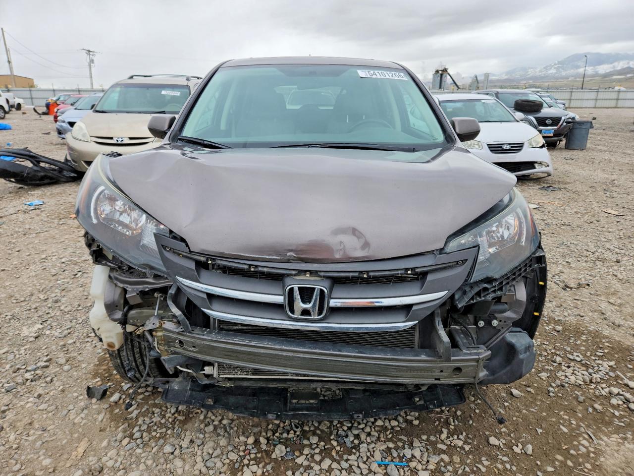 2012 Honda Cr-v Ex Brown vin: 5J6RM4H59CL004077