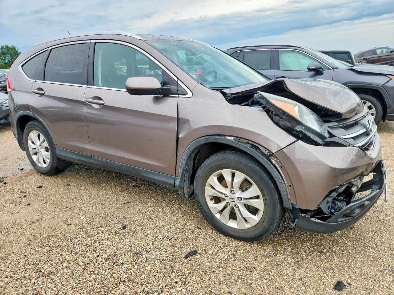 2013 Honda Cr-v Exl Gray vin: 5J6RM4H70DL028724