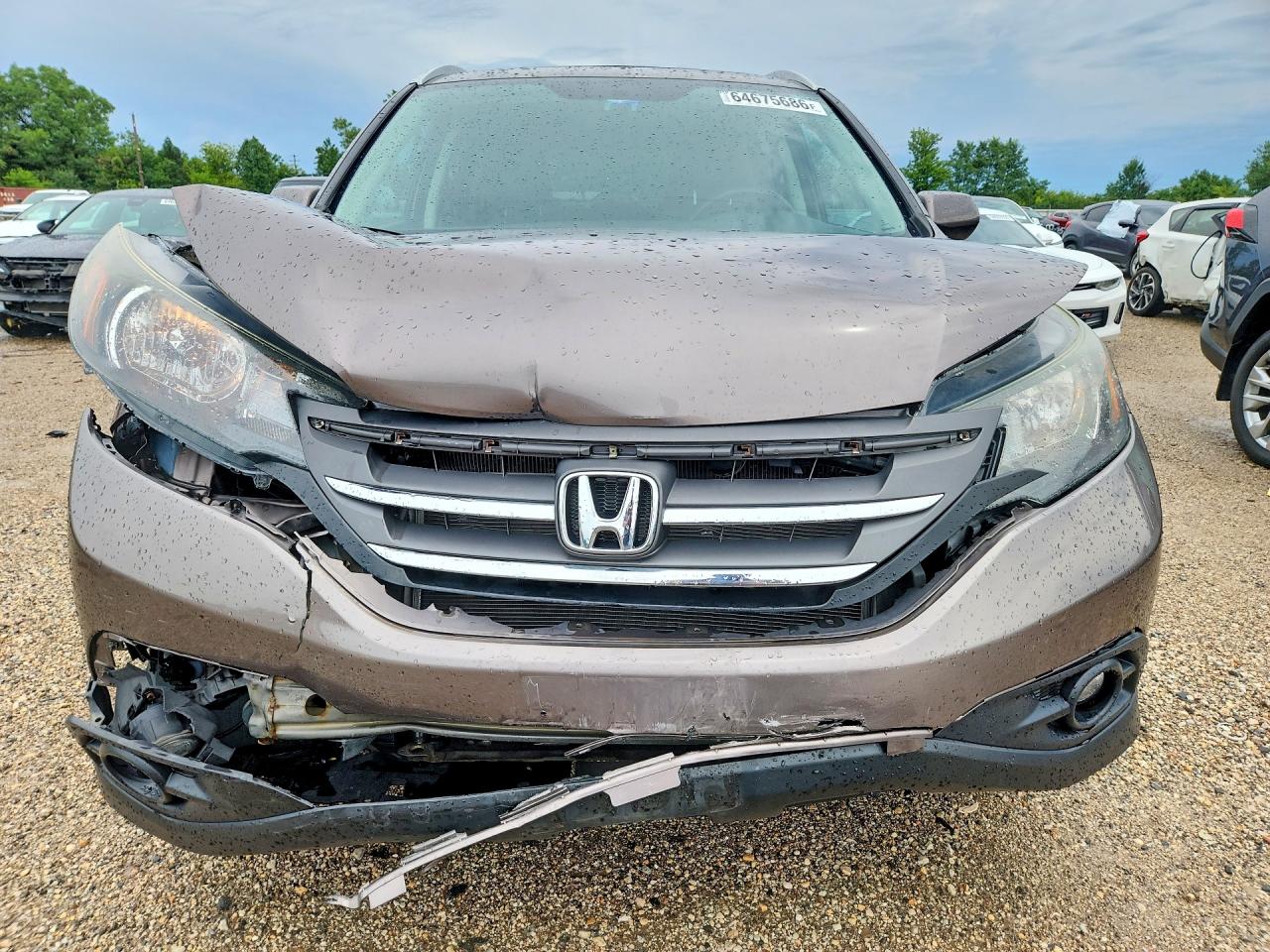 2013 Honda Cr-v Exl Gray vin: 5J6RM4H70DL028724