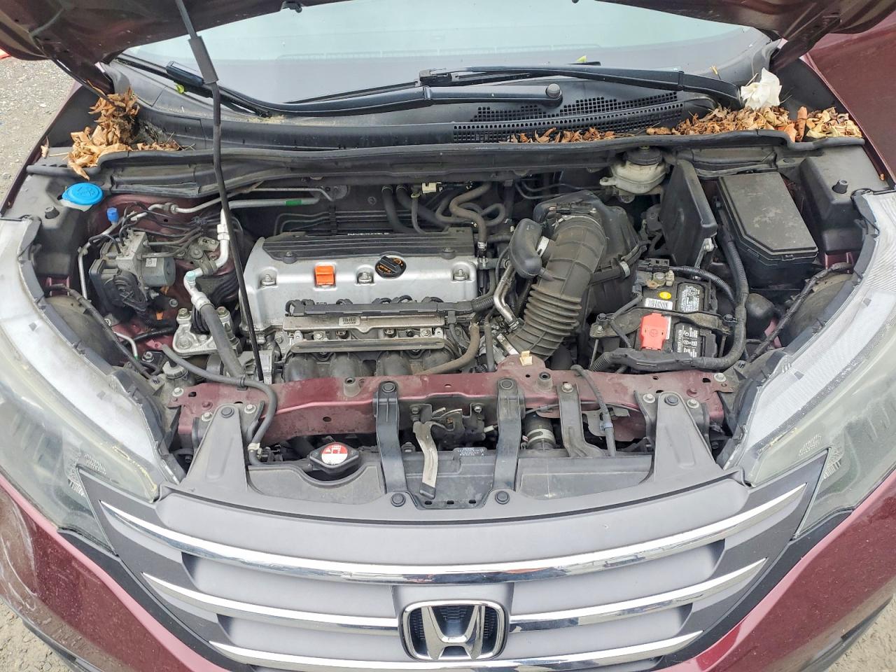 2012 Honda Cr-v Exl Burgundy vin: 5J6RM4H71CL045840