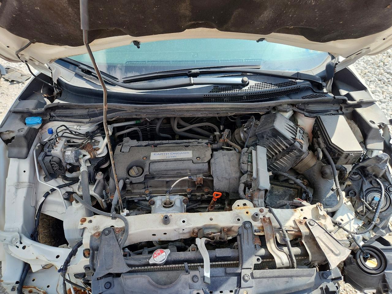2015 Honda Cr-v Exl Белый vin: 5J6RM4H71FL064490