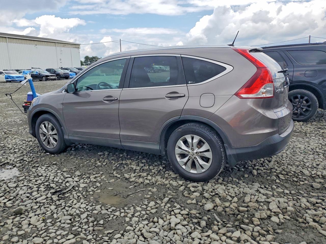 2012 Honda Cr-v Exl Brown vin: 5J6RM4H72CL025645