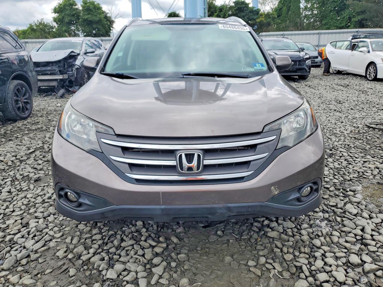 2012 Honda Cr-v Exl Brown vin: 5J6RM4H72CL025645