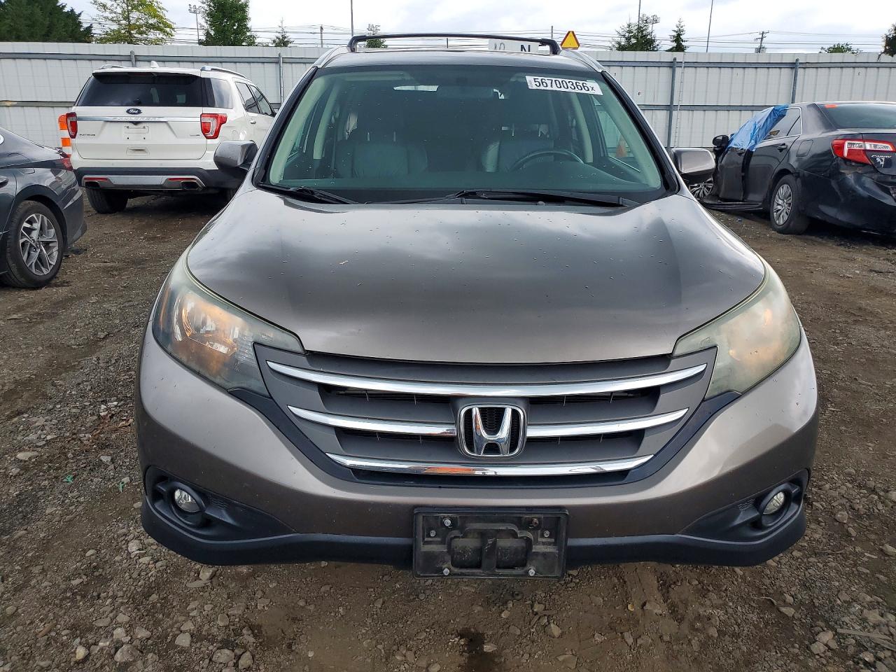 2014 Honda Cr-v Exl Brown vin: 5J6RM4H72EL017936