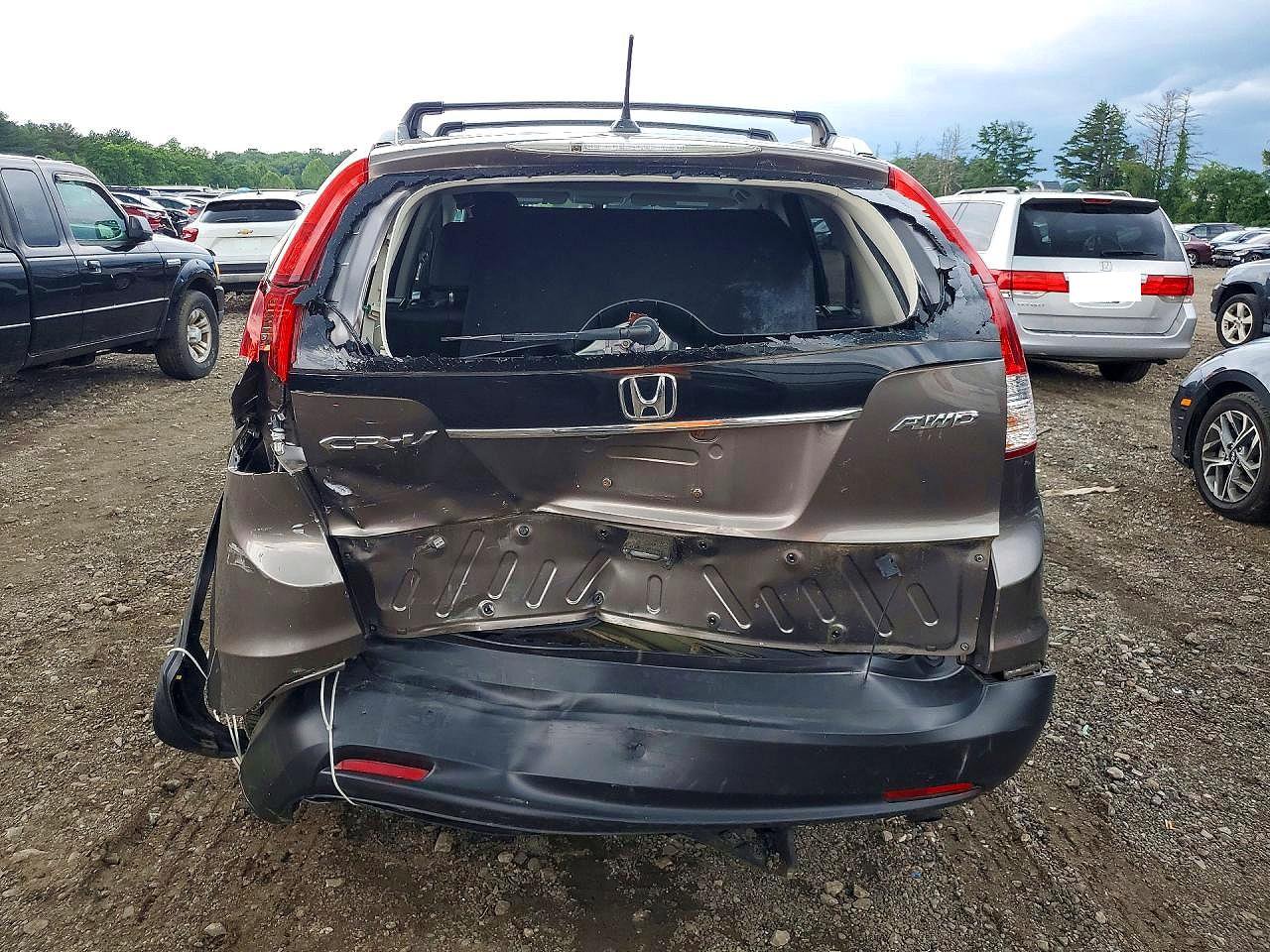 2014 Honda Cr-v Exl Brown vin: 5J6RM4H72EL017936