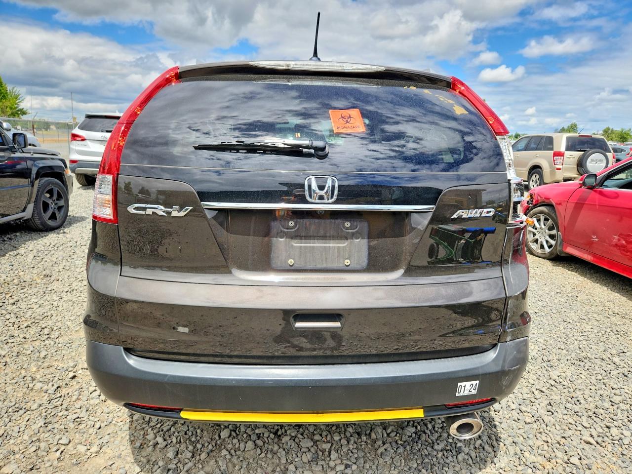 2013 Honda Cr-v Exl Brown vin: 5J6RM4H73DL010301