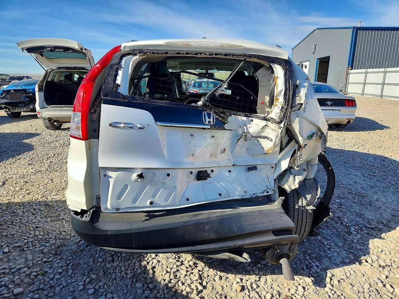 2013 Honda Cr-v Exl Белый vin: 5J6RM4H74DL065520
