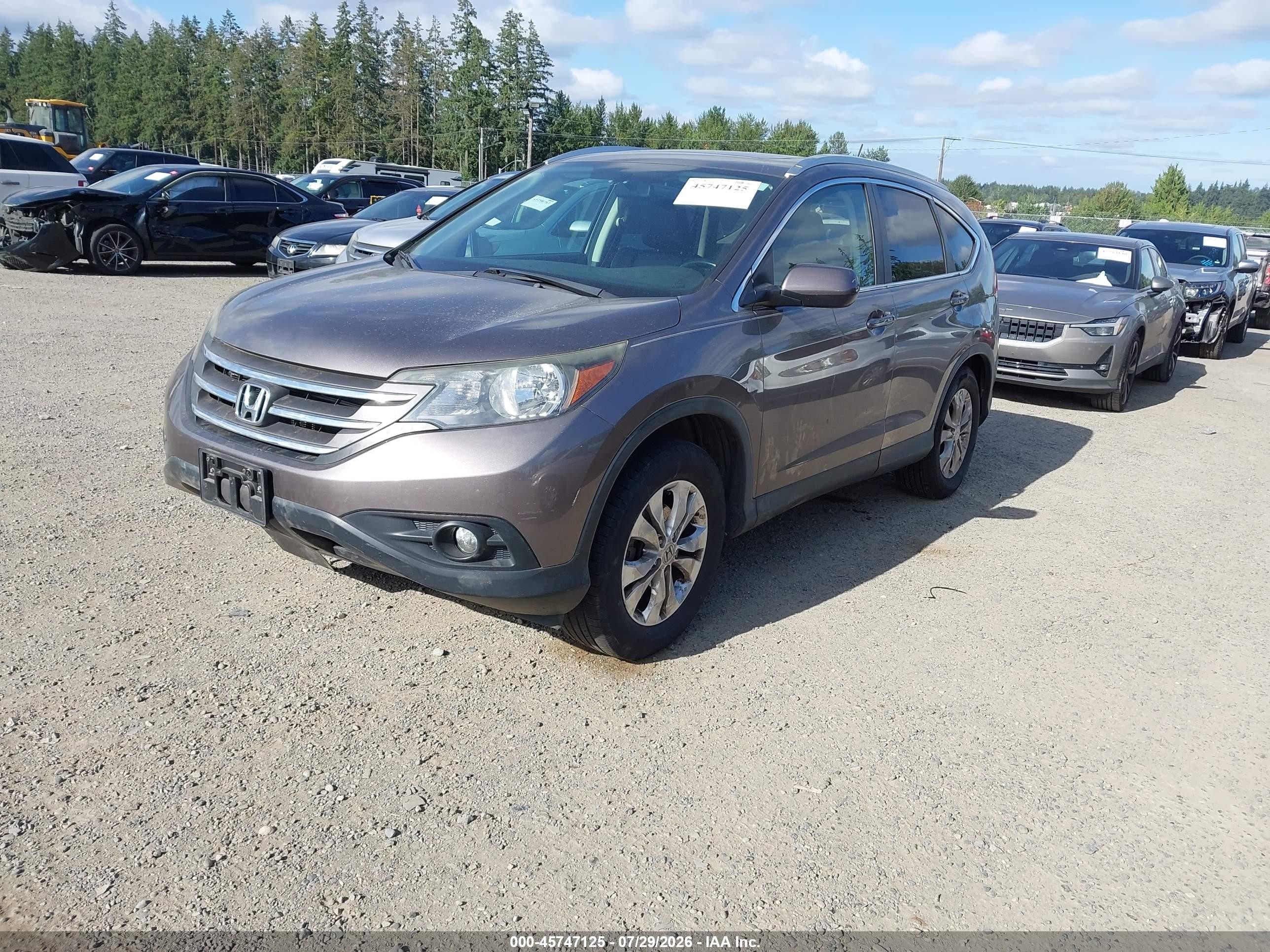 2014 Honda Cr-v Ex-l Beige vin: 5J6RM4H74EL110375