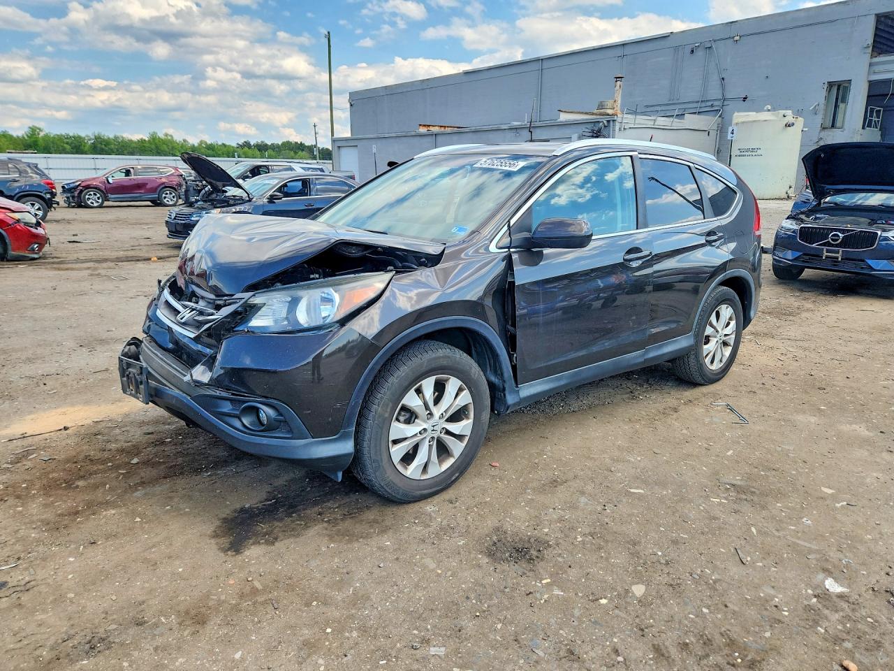 2014 Honda Cr-v Exl Brown vin: 5J6RM4H75EL044757
