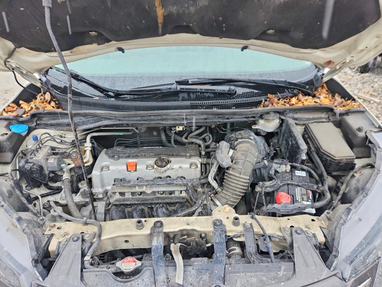 2013 Honda Cr-v Exl Белый vin: 5J6RM4H76DL068774