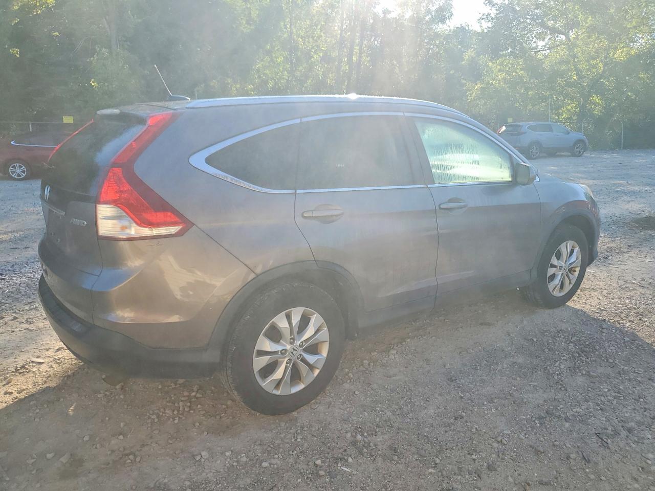 2013 Honda Cr-v Exl Beige vin: 5J6RM4H77DL042040
