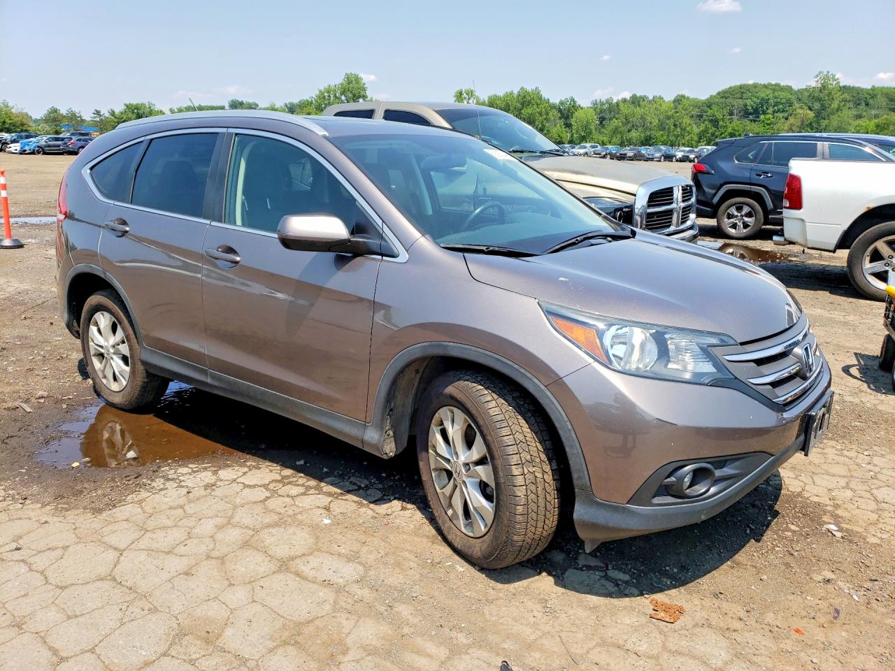 2013 Honda Cr-v Exl Gray vin: 5J6RM4H78DL024159