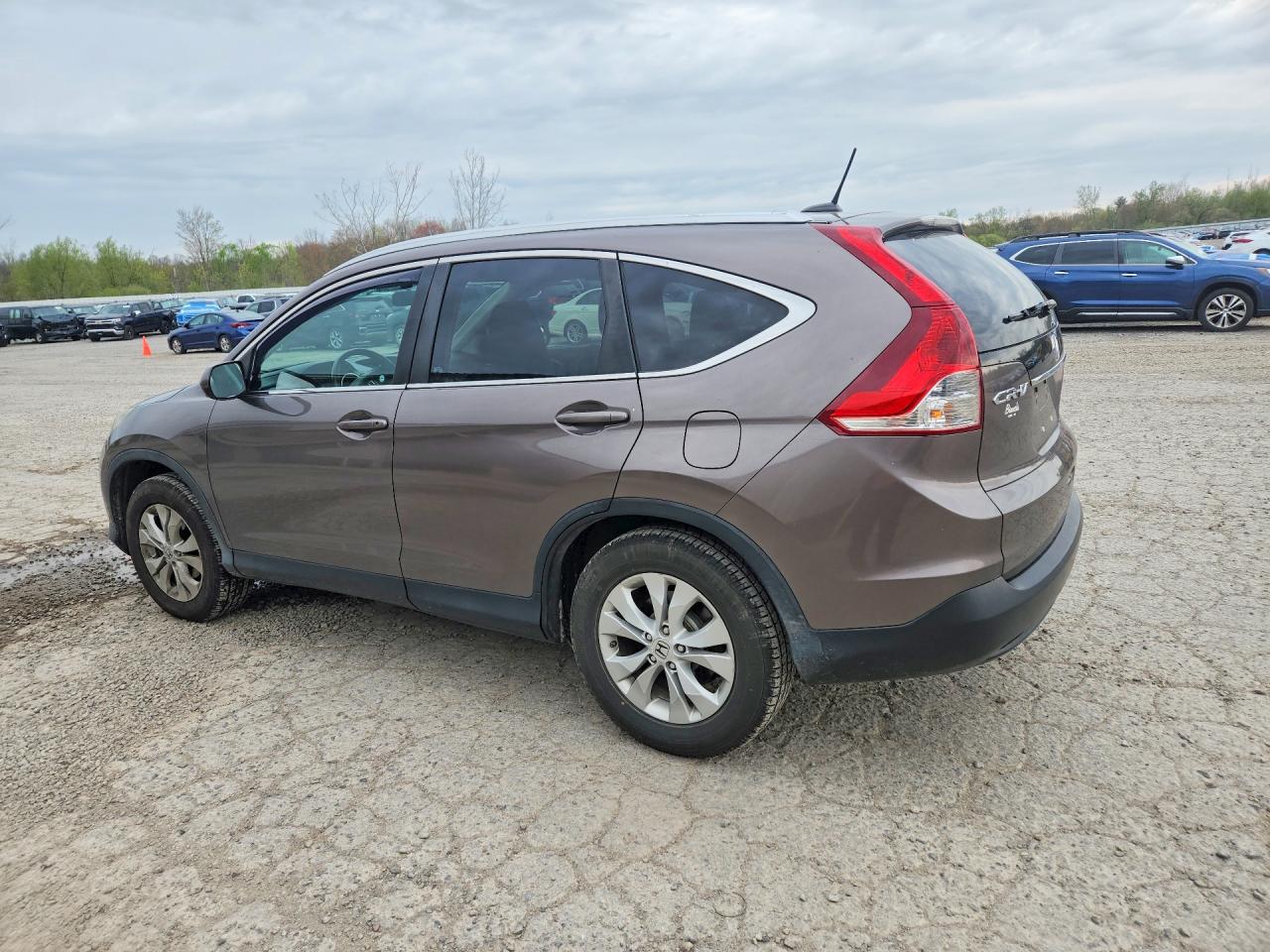 2013 Honda Cr-v Exl Gray vin: 5J6RM4H78DL077170