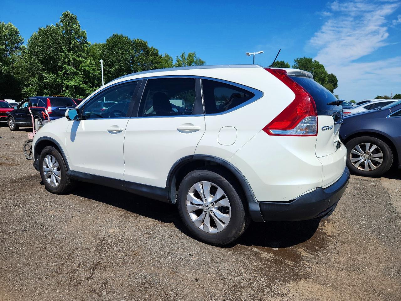 2014 Honda Cr-v Exl White vin: 5J6RM4H79EL063621