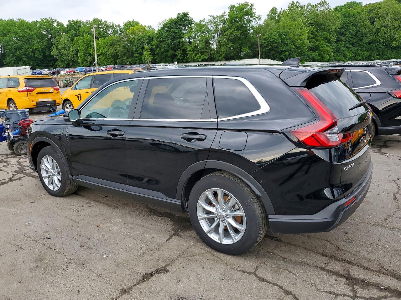 2024 Honda Cr-v Exl Black vin: 5J6RS4H75RL013391