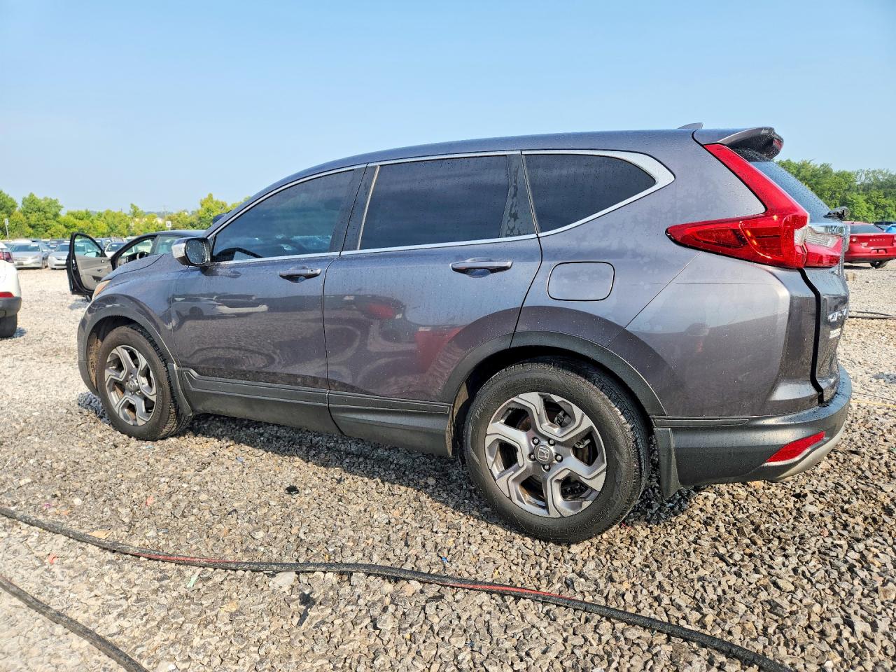 2019 Honda Cr-v Ex Серый vin: 5J6RW1H59KA009993