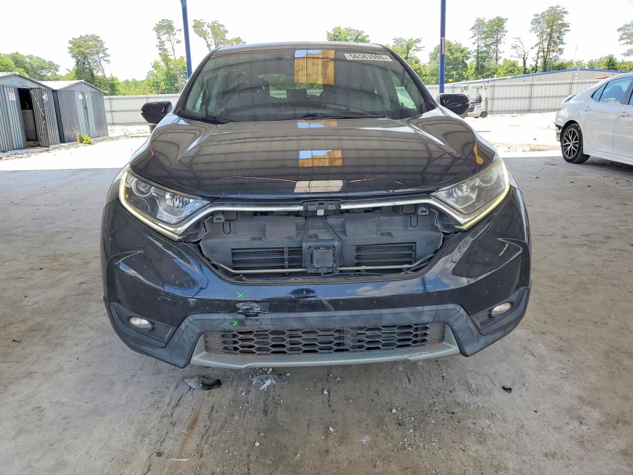 2019 Honda Cr-v Exl Black vin: 5J6RW1H80KA031973