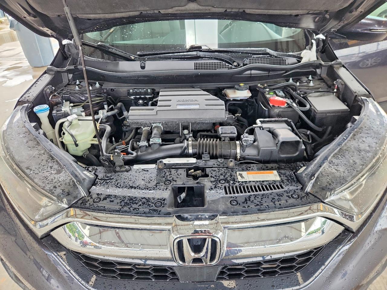 2019 Honda Cr-v Ex-l Gray vin: 5J6RW1H86KA019665