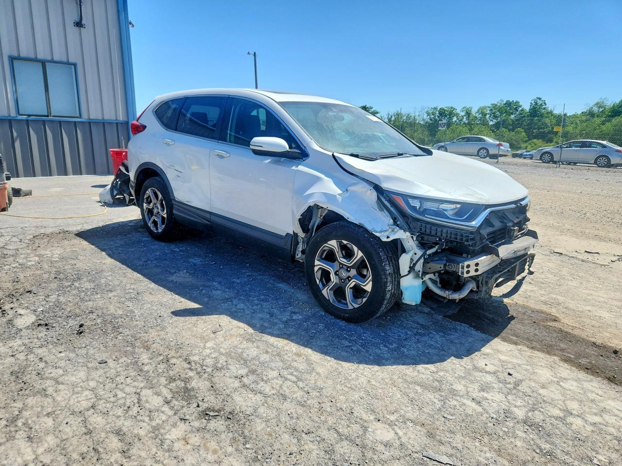 2019 Honda Cr-v Ex White vin: 5J6RW2H53KA001412