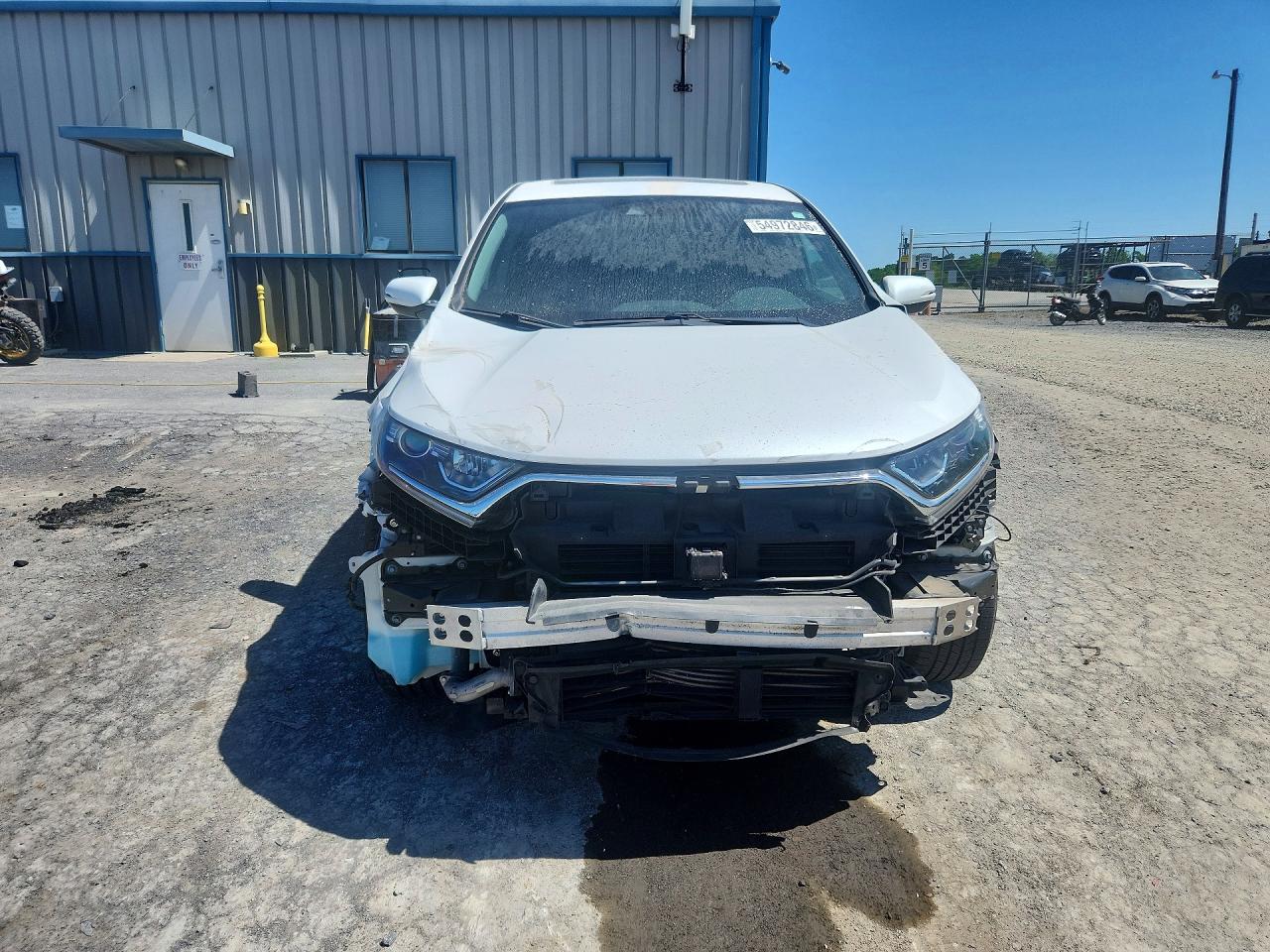 2019 Honda Cr-v Ex White vin: 5J6RW2H53KA001412