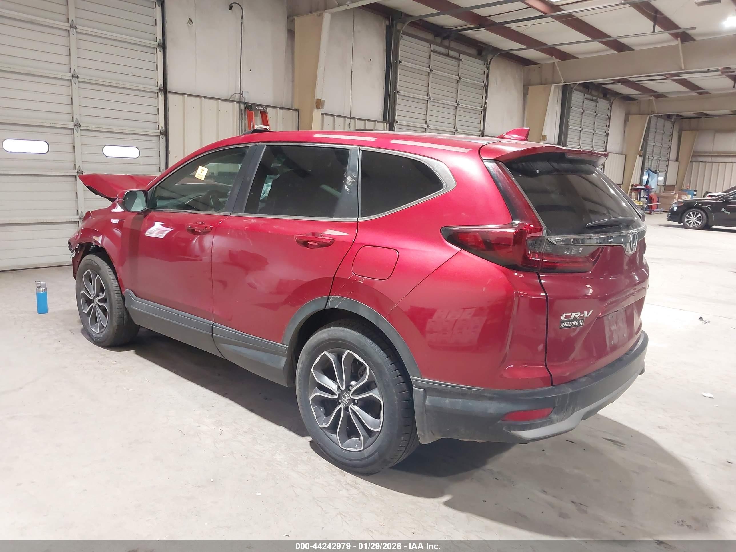 2020 Honda Cr-v Awd Ex-l Red vin: 5J6RW2H80LL028602