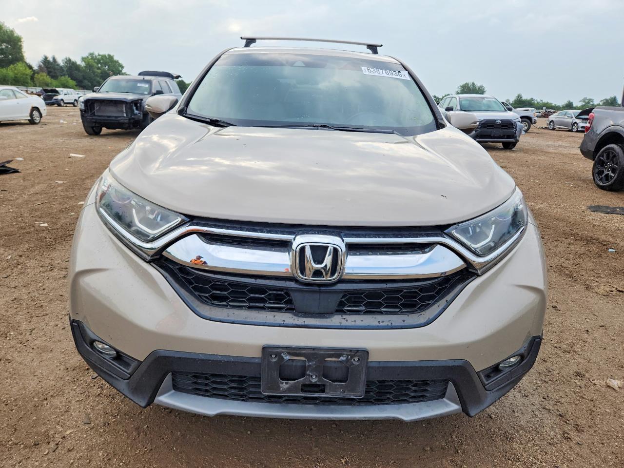 2018 Honda Cr-v Exl Кремовый vin: 5J6RW2H85JL023330