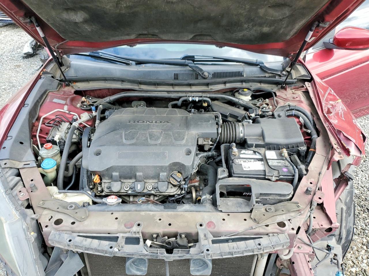 2010 Honda Accord Crosstour Ex Красный vin: 5J6TF1H34AL009097